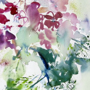 Schattenfreund - Aquarell - 28x38 cm.