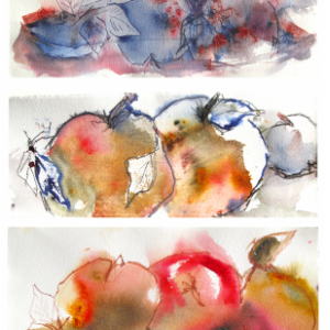 Verwandlung - 5 x Aquarell/Tusche - zusammen ca. 45x101 cm.