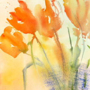 Tulpenkorb - Aquarell - 33x51 cm.